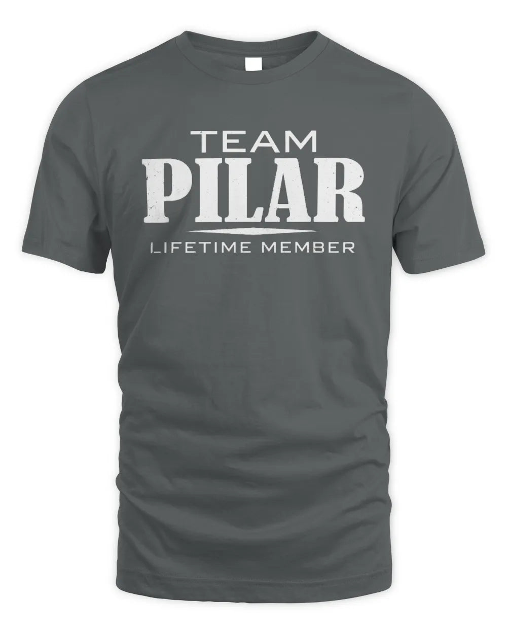 PILAR BL62-K4-128 - Personalized “Team NAME Lifetime Member” - Unisex Standard T-Shirt - Charcoal