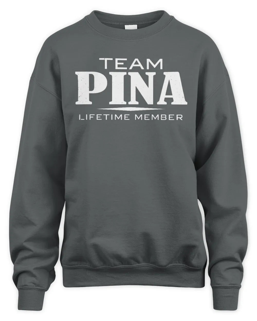 PINA BL62-K4-128 - Personalized “Team NAME Lifetime Member” - Unisex Sweatshirt - Charcoal