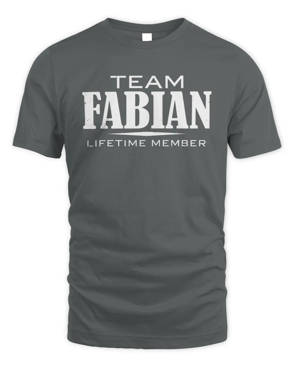 FABIAN BL62-K4-128 - Personalized “Team NAME Lifetime Member” - Unisex Standard T-Shirt - Charcoal