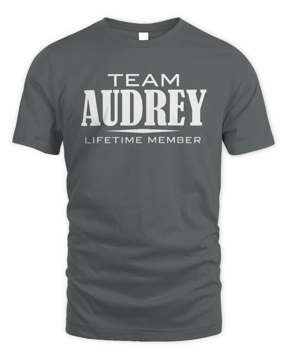 AUDREY BL62-K4-128 - Personalized “Team NAME Lifetime Member” - Unisex Standard T-Shirt - Charcoal