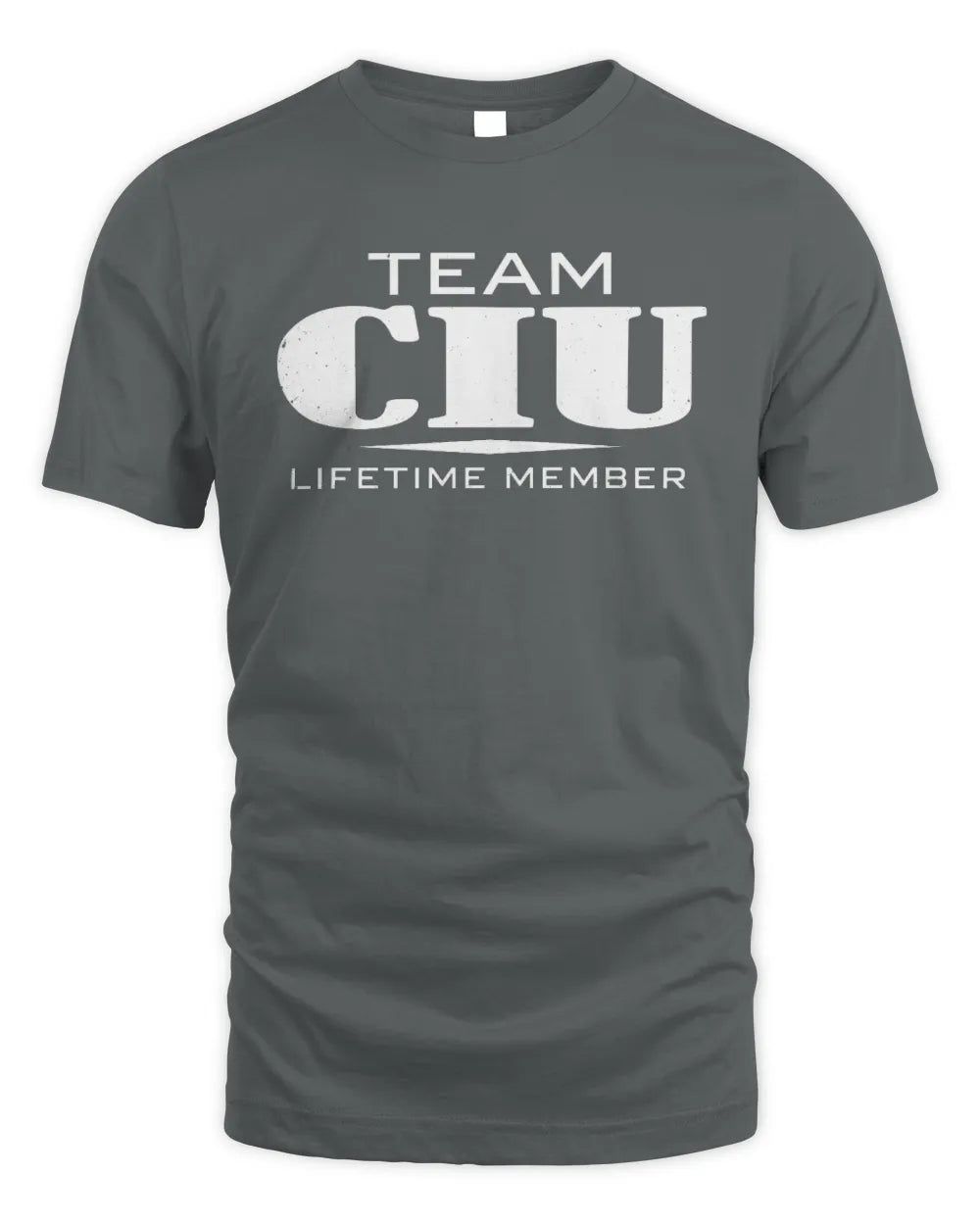 CIU BL62-K4-128 - Personalized “Team NAME Lifetime Member” - Unisex Standard T-Shirt - Charcoal