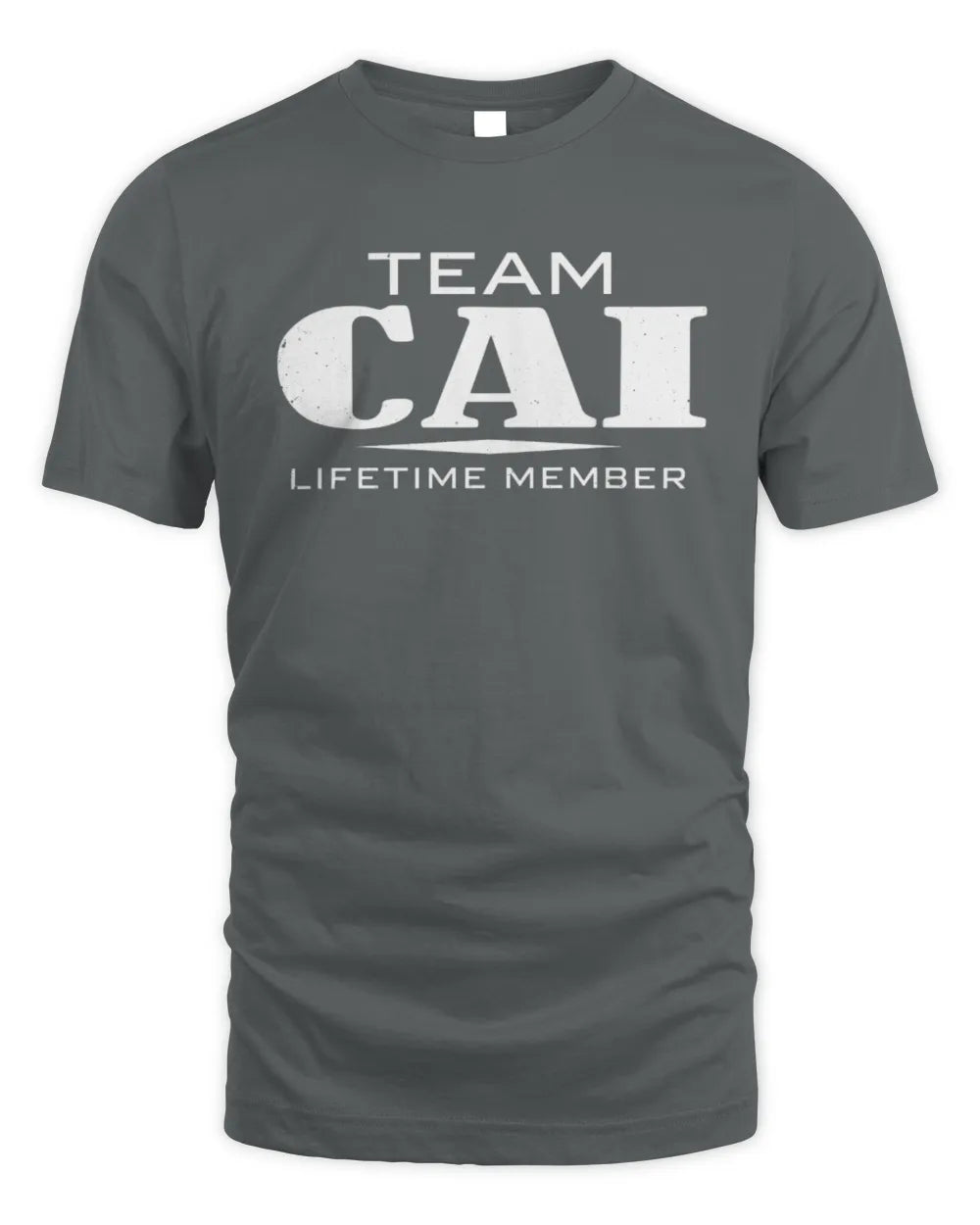 CAI BL62-K4-128 - Personalized “Team NAME Lifetime Member” - Unisex Standard T-Shirt - Charcoal