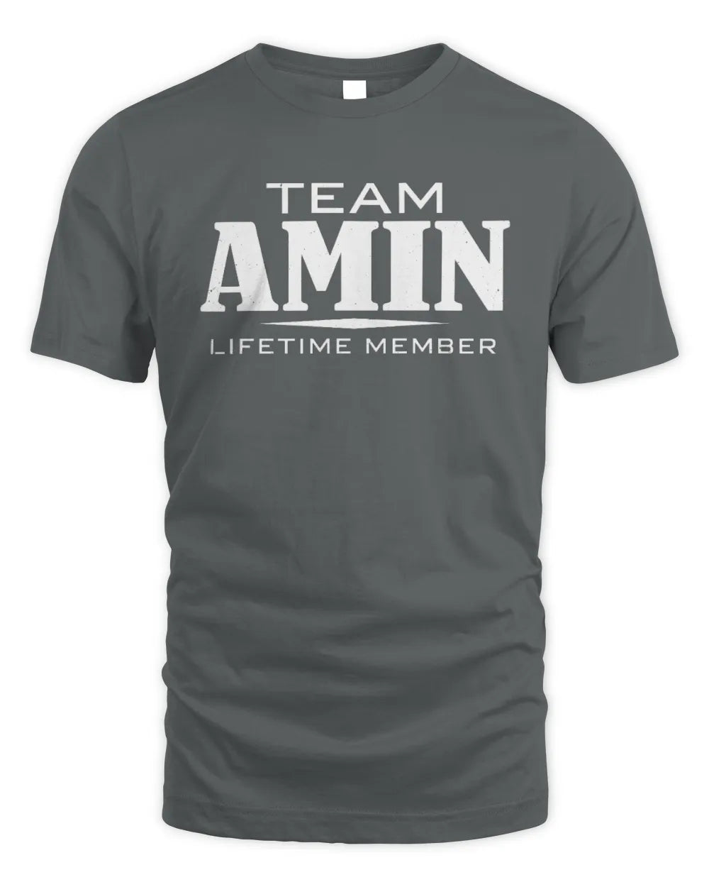 AMIN BL62-K4-128 - Personalized “Team NAME Lifetime Member” - Unisex Standard T-Shirt - Charcoal