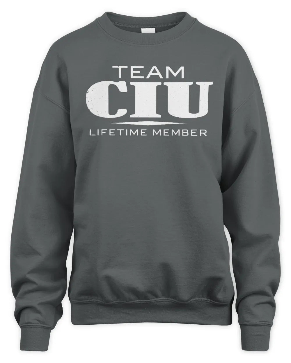 CIU BL62-K4-128 - Personalized “Team NAME Lifetime Member” - Unisex Sweatshirt - Charcoal