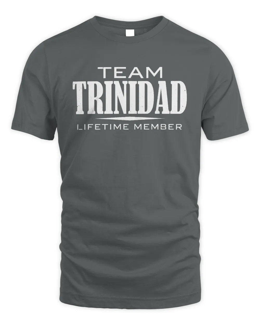 TRINIDAD BL62-K4-128 - Personalized “Team NAME Lifetime Member” - Unisex Standard T-Shirt - Charcoal