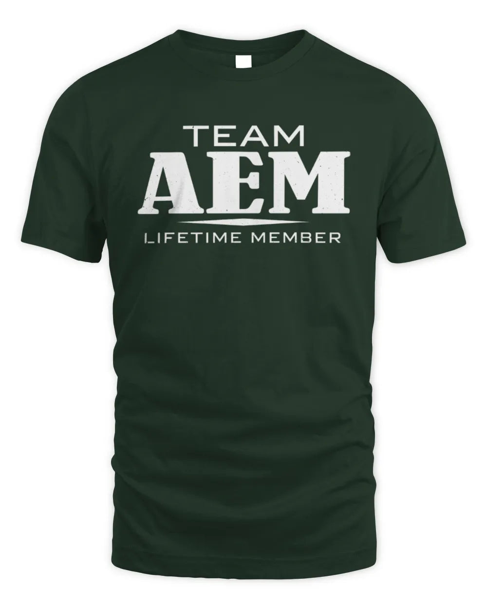 AEM BL62-K4-128 - Personalized “Team NAME Lifetime Member” - Unisex Standard T-Shirt - Forest Green
