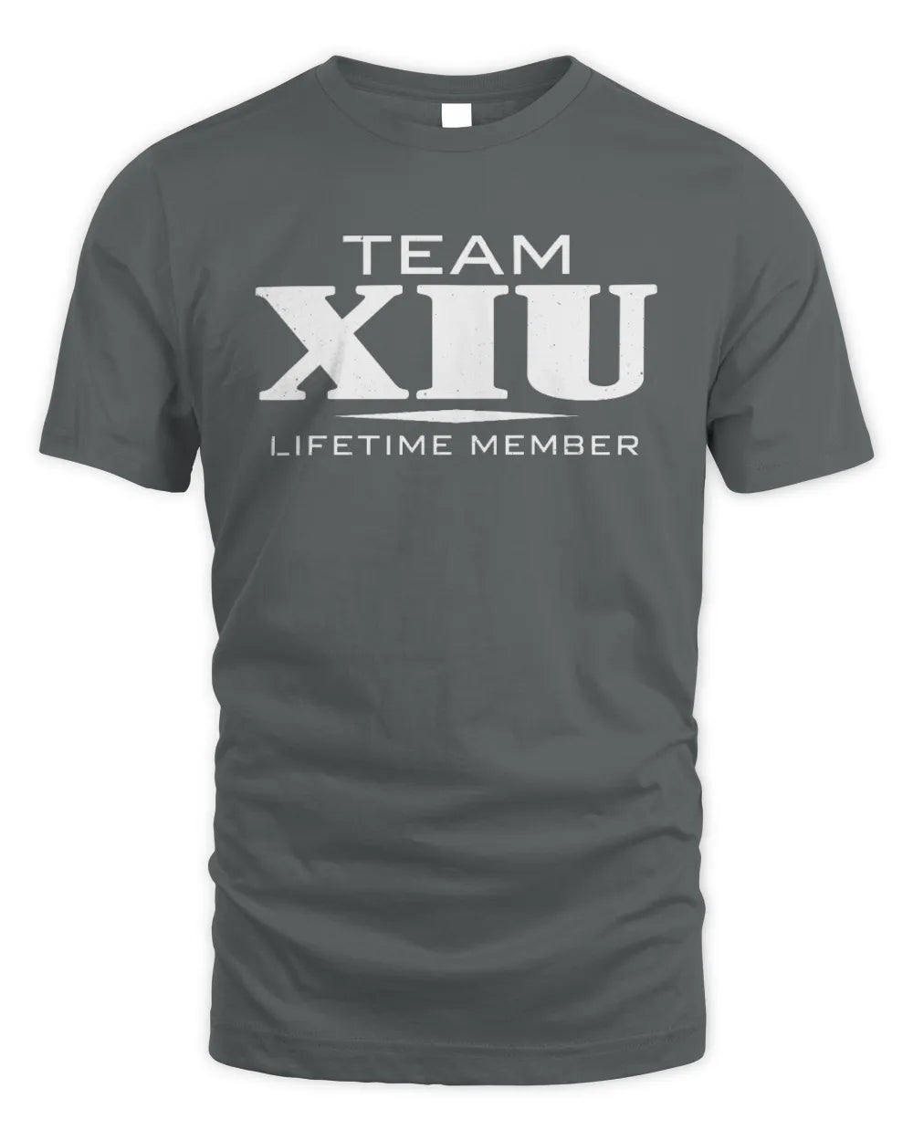 XIU BL62-K4-128 - Personalized “Team NAME Lifetime Member” - Unisex Standard T-Shirt - Charcoal