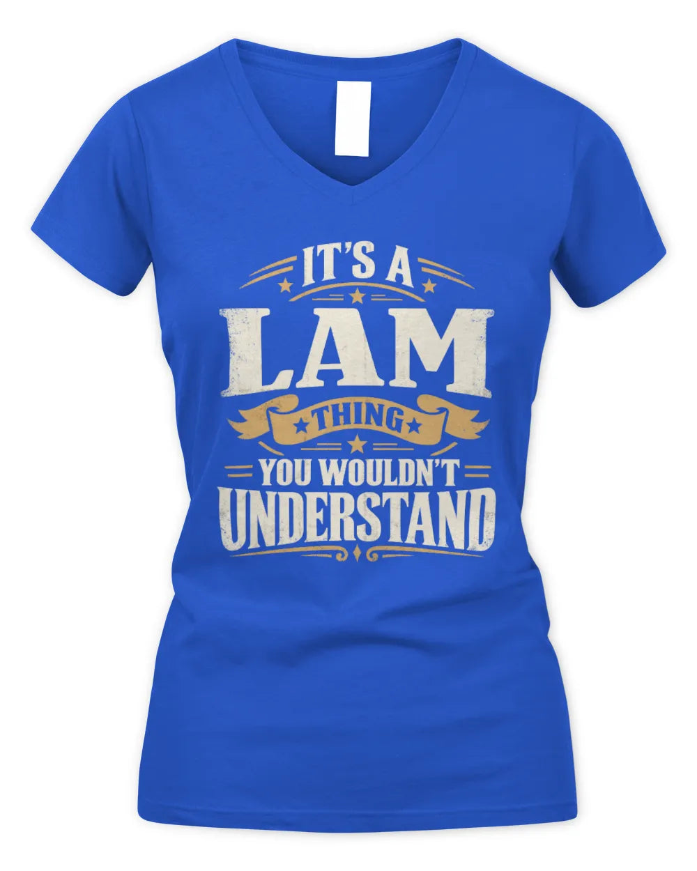 LAM P08 TH51 - Personalized “It’s a/an [NAME] Thing – You Wouldn’t Understand” Shirt - Women's V-Neck T-Shirt - Royal