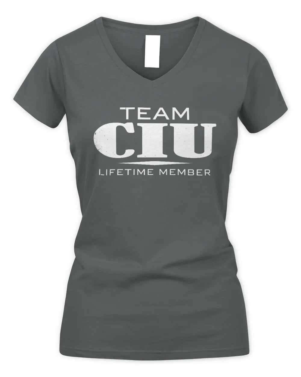 CIU BL62-K4-128 - Personalized “Team NAME Lifetime Member” - Women's V-Neck T-Shirt - Charcoal