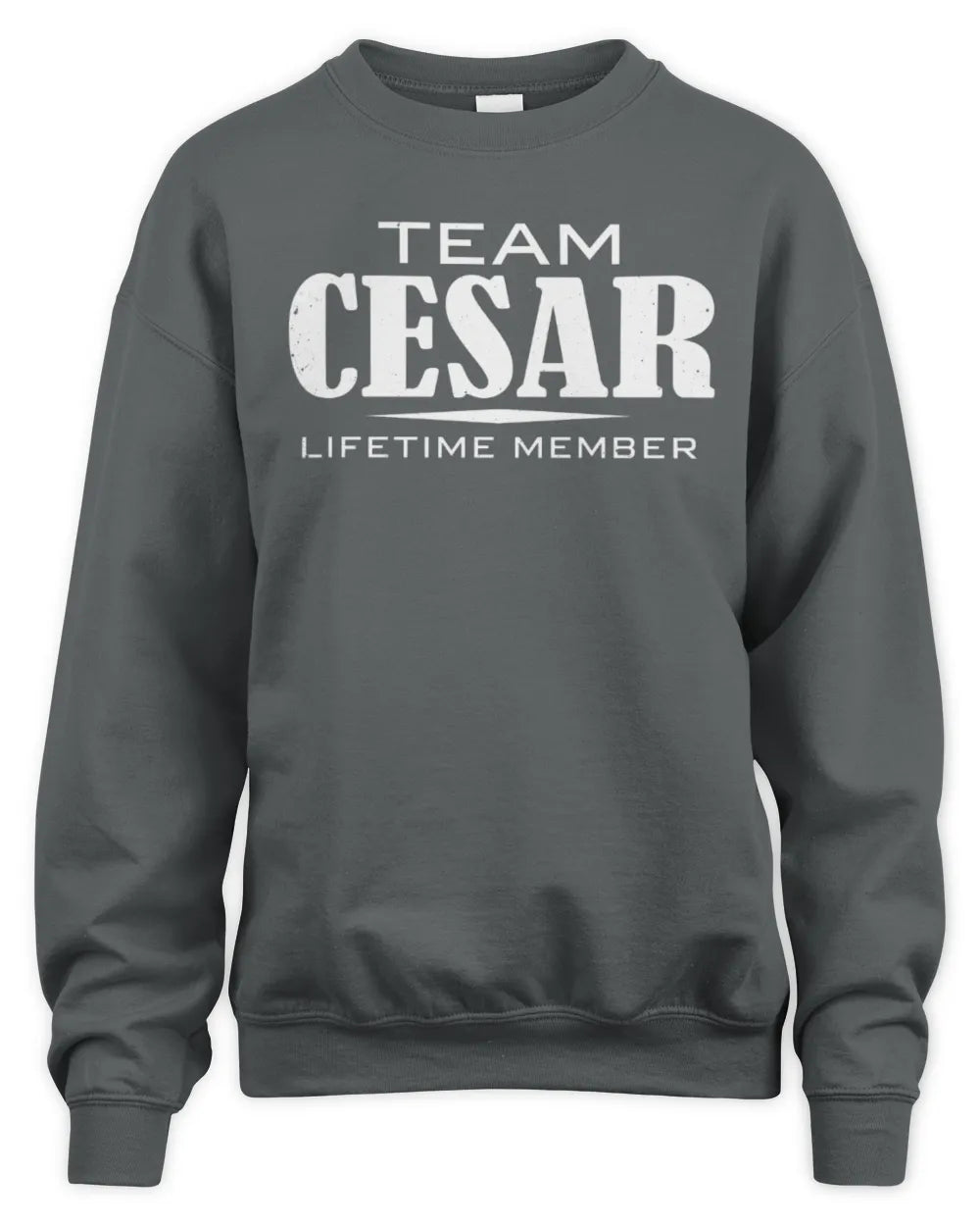 CESAR BL62-K4-128 - Personalized “Team NAME Lifetime Member” - Unisex Sweatshirt - Charcoal