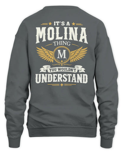 MOLINA KT06-M008 It’s a [NAME] Thing – You Wouldn’t Understand | Personalized Vintage T-Shirt - Unisex Sweatshirt - Charcoal