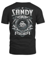 SANDY AP81-K4-626 - Personalized Ahmed Quote Apparel “If Ahmed Can't Fix It, No One Can” - Unisex Standard T-Shirt - Black