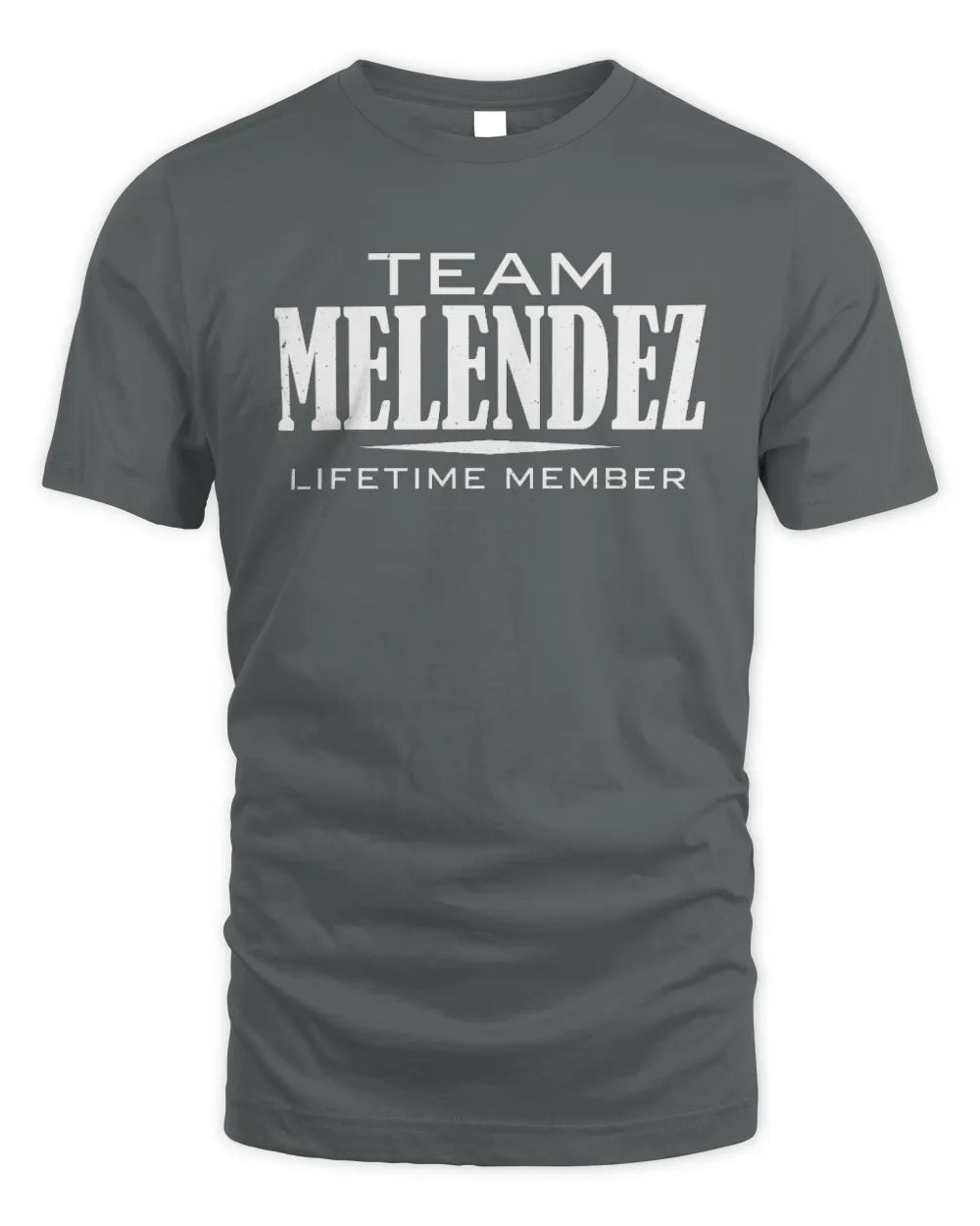 MELENDEZ BL62-K4-128 - Personalized “Team NAME Lifetime Member” - Unisex Standard T-Shirt - Charcoal