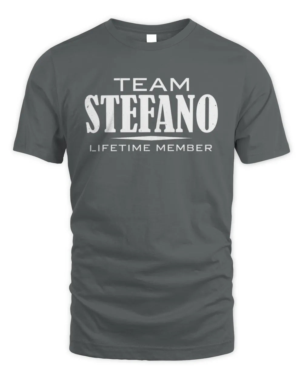 STEFANO BL62-K4-128 - Personalized “Team NAME Lifetime Member” - Unisex Standard T-Shirt - Charcoal