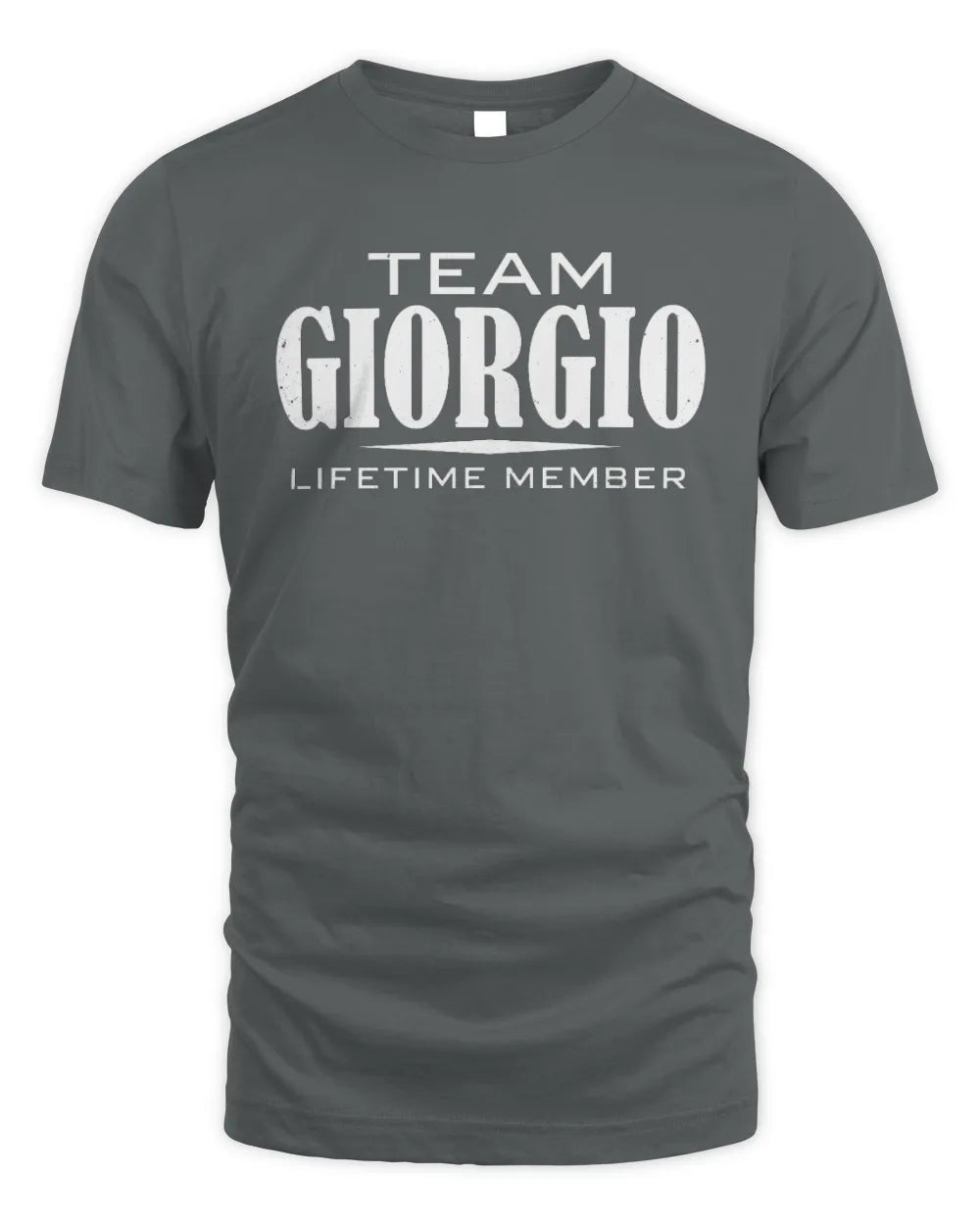 GIORGIO BL62-K4-128 - Personalized “Team NAME Lifetime Member” - Unisex Standard T-Shirt - Charcoal
