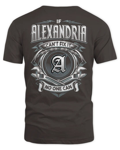 ALEXANDRIA AP81-K4-626 - Personalized Ahmed Quote Apparel “If Ahmed Can't Fix It, No One Can” - Unisex Standard T-Shirt - Dark Chocolate