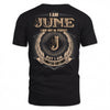 JUNE PH55-T25-Personalized Name Quote Apparel “I Am NAME May Not Be Perfect But I Am Limited Edition”