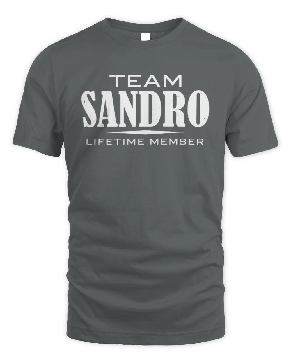 SANDRO BL62-K4-128 - Personalized “Team NAME Lifetime Member” - Unisex Standard T-Shirt - Charcoal