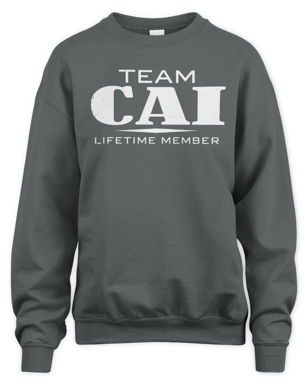 CAI BL62-K4-128 - Personalized “Team NAME Lifetime Member” - Unisex Sweatshirt - Charcoal