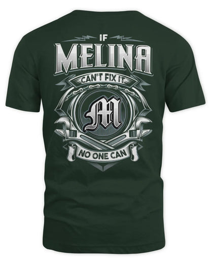 MELINA AP81-K4-626 - Personalized Ahmed Quote Apparel “If Ahmed Can't Fix It, No One Can” - Unisex Standard T-Shirt - Forest Green