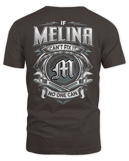 MELINA AP81-K4-626 - Personalized Ahmed Quote Apparel “If Ahmed Can't Fix It, No One Can” - Unisex Standard T-Shirt - Dark Chocolate