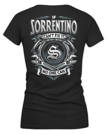 SORRENTINO AP81-K4-626 - Personalized Ahmed Quote Apparel “If Ahmed Can't Fix It, No One Can” - Women's V-Neck T-Shirt - Black
