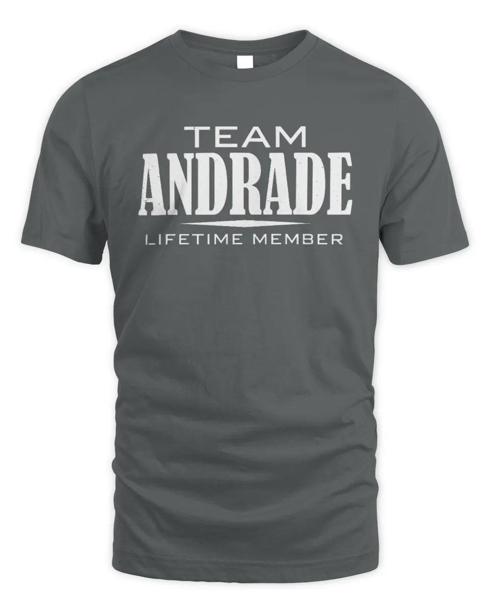 ANDRADE BL62-K4-128 - Personalized “Team NAME Lifetime Member” - Unisex Standard T-Shirt - Charcoal