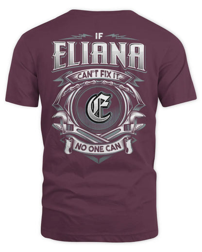 ELIANA AP81-K4-626 - Personalized Ahmed Quote Apparel “If Ahmed Can't Fix It, No One Can” - Unisex Standard T-Shirt - Maroon
