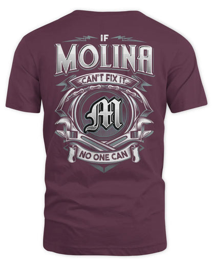 MOLINA AP81-K4-626 - Personalized Ahmed Quote Apparel “If Ahmed Can't Fix It, No One Can” - Unisex Standard T-Shirt - Maroon