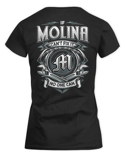 MOLINA AP81-K4-626 - Personalized Ahmed Quote Apparel “If Ahmed Can't Fix It, No One Can” - Women's Standard T-Shirt - Black