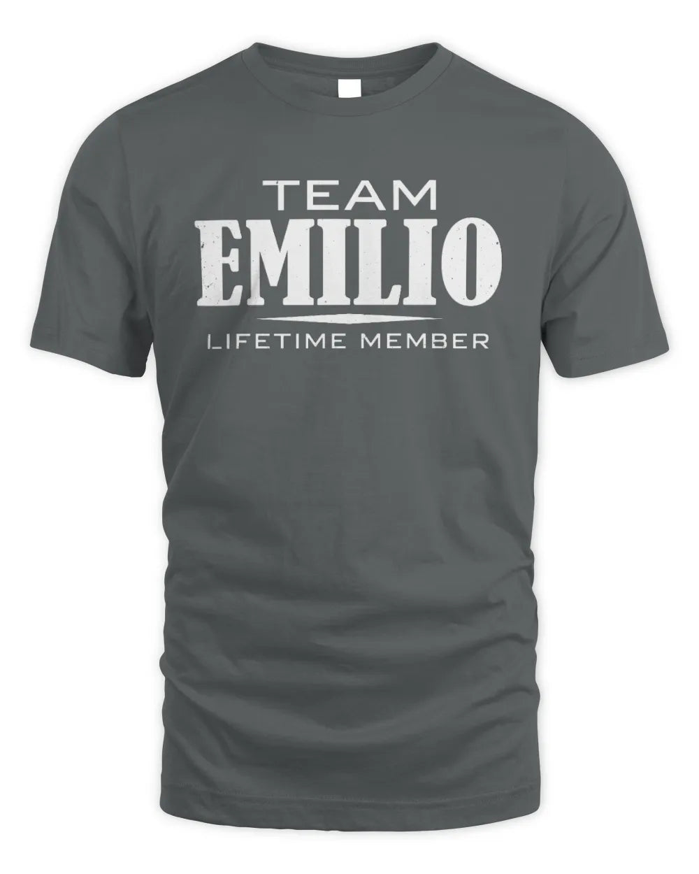 EMILIO BL62-K4-128 - Personalized “Team NAME Lifetime Member” - Unisex Standard T-Shirt - Charcoal