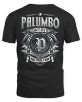 PALUMBO AP81-K4-626 - Personalized Ahmed Quote Apparel “If Ahmed Can't Fix It, No One Can” - Unisex Standard T-Shirt - Black