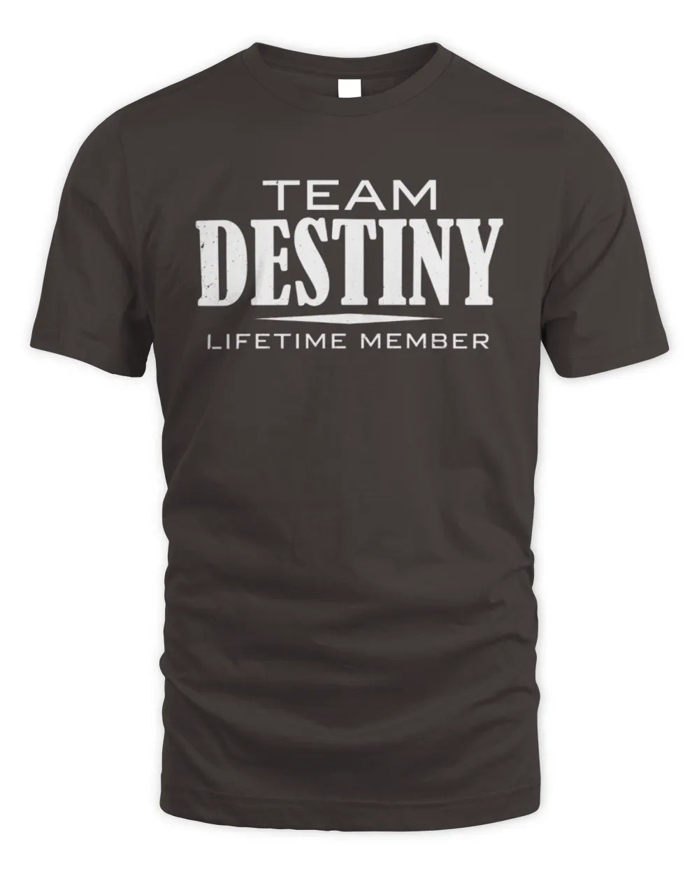 DESTINY BL62-K4-128 - Personalized “Team NAME Lifetime Member” - Unisex Standard T-Shirt - Dark Chocolate